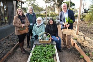 Fresh food and friendship