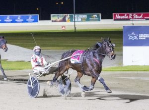 Arcee revs his engine ahead