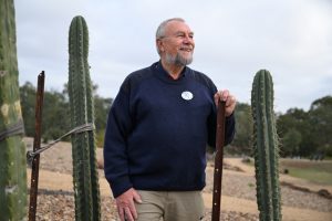 Spectacular spiny succulents