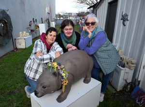 Celebrating creativity