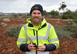 Local planters wanted