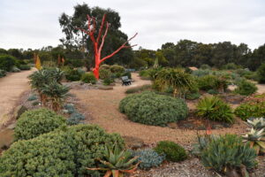 New plan for ‘treasured’ garden