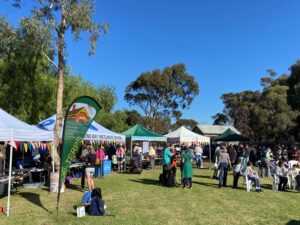 Discover Altona’s amazing wetlands