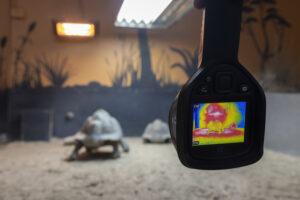 Staying warm at the zoo