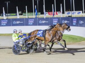 Kingman claims glory in Victoria Cup