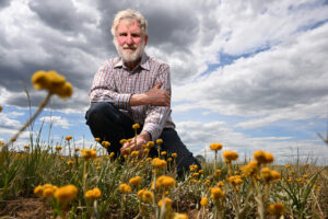 Out of ‘plain’ sight