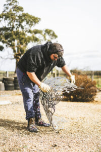 Art follows the curve