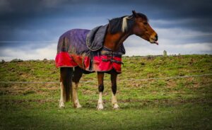 Melbourne Cup Carnival cash injection