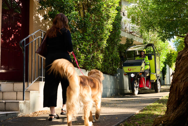 Dog attack fears as parcel delivery ramps up