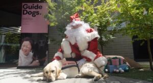 Guide Dogs Victoria appeals for support