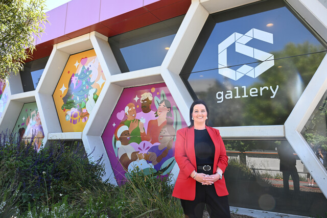 Christmas windows shine bright