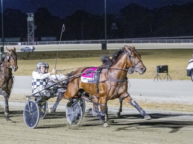 Leap To Fame on track for bonus