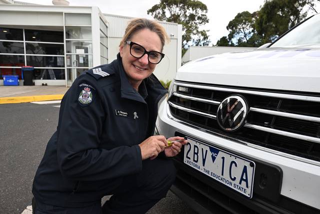 One-way screws stop two-bit thieves