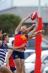 Burras dig in at home