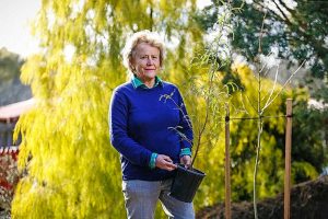 Ballan resident Stephanie Day share her love of trees
