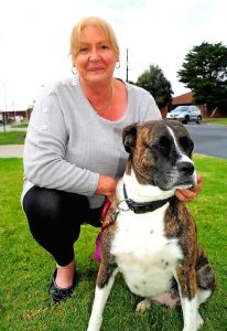 Calls for a dog park in Diggers Rest