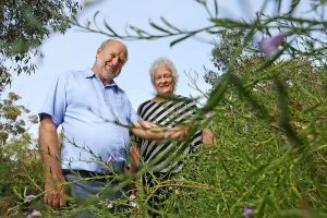 Willows Homestead Reserve wildlife wonderland