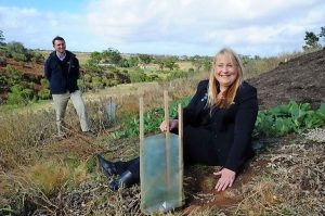 Greening the West honoured