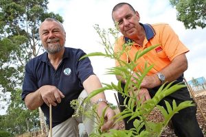 Bush tucker at its source