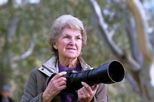 Lens look at bird life