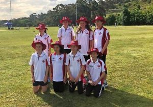 Cricket’s pitch to girls delivers expanded GDCA competition