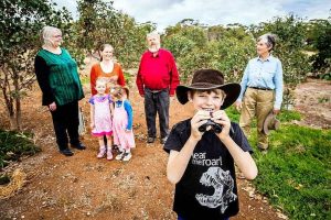 Cottrell corridor vital link