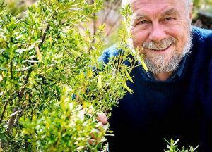 Melton botanical bounty