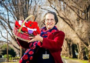 Avenue elms celebrated