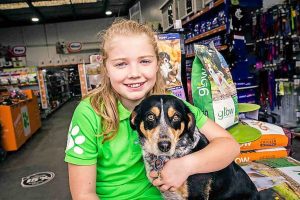 Cheap chip opportunity at PETstock