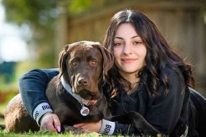 Deadly dog virus is easily collared