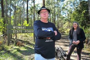 Cut up over forest plan