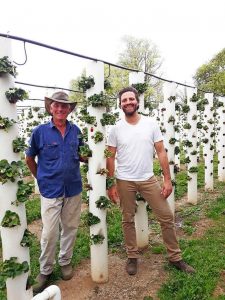 Berry good reward for the Strawberry Forest and farm shop the Fruits of Life