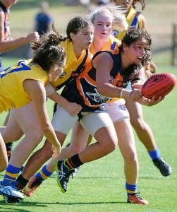 Calder Cannons stand tall