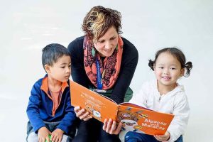 All eyes on the alpacas
