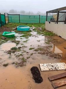 Rescuing the rescuers