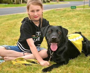 Therapy dog on wish list