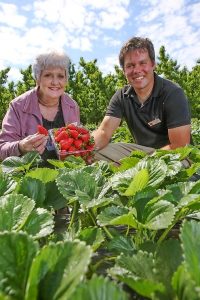 Strawberries and Cherries Festival time again