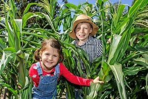 Toolern Vale’s night of nights