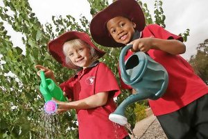Learning to be water wise starts at school
