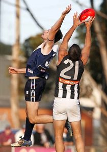 Panthers keep faith in cubs